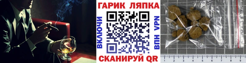 ГАШ Premium  Купить где  Каменногорск 