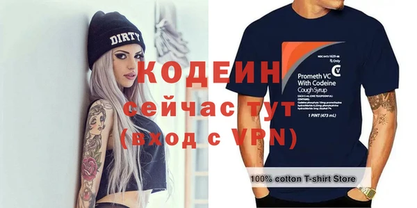 молекула духа Верхний Тагил