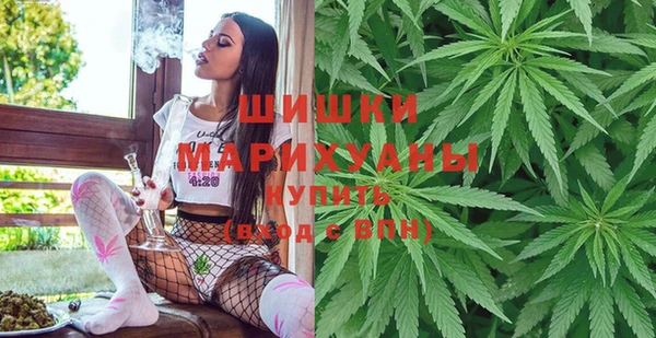 молекула духа Верхний Тагил