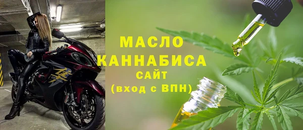 молекула духа Верхний Тагил